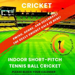 Winter Gully Cricket